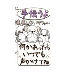 【Big】シーズーてんこ盛り 『長文』（個別スタンプ：25）