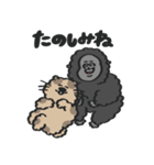 にゃんころ with Gorilla（個別スタンプ：14）