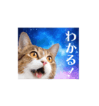 動く！驚く！宇宙猫 -Space Cat-（個別スタンプ：3）