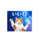 動く！驚く！宇宙猫 -Space Cat-（個別スタンプ：8）