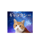 動く！驚く！宇宙猫 -Space Cat-（個別スタンプ：10）