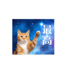 動く！驚く！宇宙猫 -Space Cat-（個別スタンプ：13）