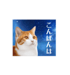 動く！驚く！宇宙猫 -Space Cat-（個別スタンプ：15）