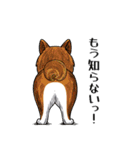 犬の後ろ姿♪背中で語りそうなセリフ（個別スタンプ：1）