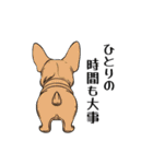 犬の後ろ姿♪背中で語りそうなセリフ（個別スタンプ：5）