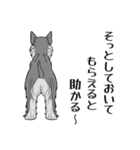 犬の後ろ姿♪背中で語りそうなセリフ（個別スタンプ：7）