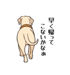 犬の後ろ姿♪背中で語りそうなセリフ（個別スタンプ：8）