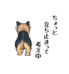 犬の後ろ姿♪背中で語りそうなセリフ（個別スタンプ：13）