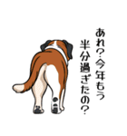 犬の後ろ姿♪背中で語りそうなセリフ（個別スタンプ：18）