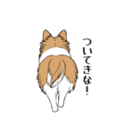 犬の後ろ姿♪背中で語りそうなセリフ（個別スタンプ：24）