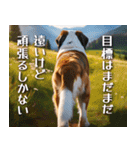 犬の後ろ姿♪背中で語りそうなセリフ（個別スタンプ：27）