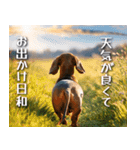 犬の後ろ姿♪背中で語りそうなセリフ（個別スタンプ：28）