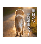 犬の後ろ姿♪背中で語りそうなセリフ（個別スタンプ：31）