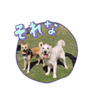 ライリーオリジナル（個別スタンプ：5）