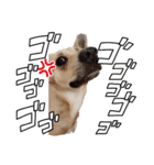 ライリーオリジナル（個別スタンプ：6）