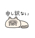 うるめシャム猫（個別スタンプ：5）