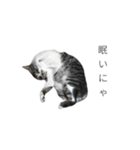 髙橋牧人公式LINEスタンプ（個別スタンプ：23）