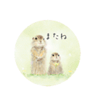 ぴよの絵にっき 18（個別スタンプ：13）