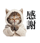 表情豊かな猫1（個別スタンプ：7）