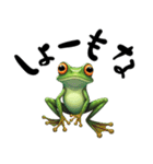 関西弁カエル（個別スタンプ：6）