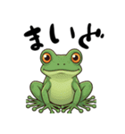 関西弁カエル（個別スタンプ：24）