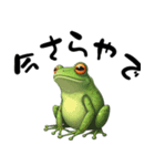 関西弁カエル（個別スタンプ：25）