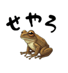 関西弁カエル（個別スタンプ：32）