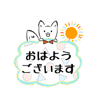 しろこん2（毎日使いやすい）（個別スタンプ：1）