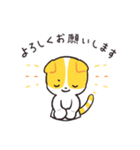 punipunipaws(敬語)（個別スタンプ：4）