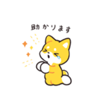 punipunipaws(敬語)（個別スタンプ：5）