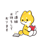 punipunipaws(敬語)（個別スタンプ：37）