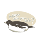 たまに怖い顔をするアデリーペンギン（個別スタンプ：7）