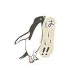 たまに怖い顔をするアデリーペンギン（個別スタンプ：8）