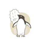 たまに怖い顔をするアデリーペンギン（個別スタンプ：13）