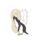 たまに怖い顔をするアデリーペンギン（個別スタンプ：16）