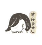 たまに怖い顔をするアデリーペンギン（個別スタンプ：18）