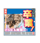 卒業＆入学の読み聞かせさんと猫スタンプ（個別スタンプ：2）