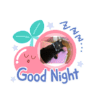ハチワレたけしくん（個別スタンプ：7）