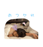 永遠に一年生でいたい（個別スタンプ：19）