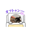 動くマロンくんスタンプ（個別スタンプ：7）