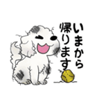 かくも、せわしきイッヌ達1（個別スタンプ：9）