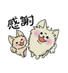 かくも、せわしきイッヌ達1（個別スタンプ：16）