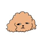 かくも、せわしきイッヌ達1（個別スタンプ：23）