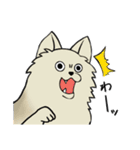 かくも、せわしきイッヌ達1（個別スタンプ：31）