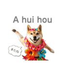 フラダンサー柴犬太（個別スタンプ：2）