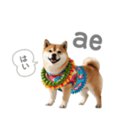 フラダンサー柴犬太（個別スタンプ：4）