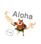 フラダンサー柴犬太（個別スタンプ：5）