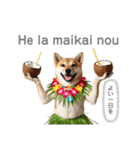 フラダンサー柴犬太（個別スタンプ：7）