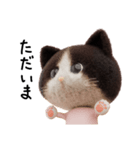 ネコねこ②（個別スタンプ：12）