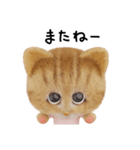 ネコねこ②（個別スタンプ：13）